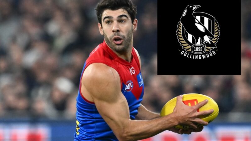 Trade deadline: Christian Petracca Accepted To Signed Contract Worth $170.8million with Collingwood Football…see..more…