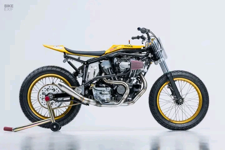 “Mule’s New Ultimate Hooligan Flat Track Racer: The Ultimate Riding Machine Revealed…see…more…