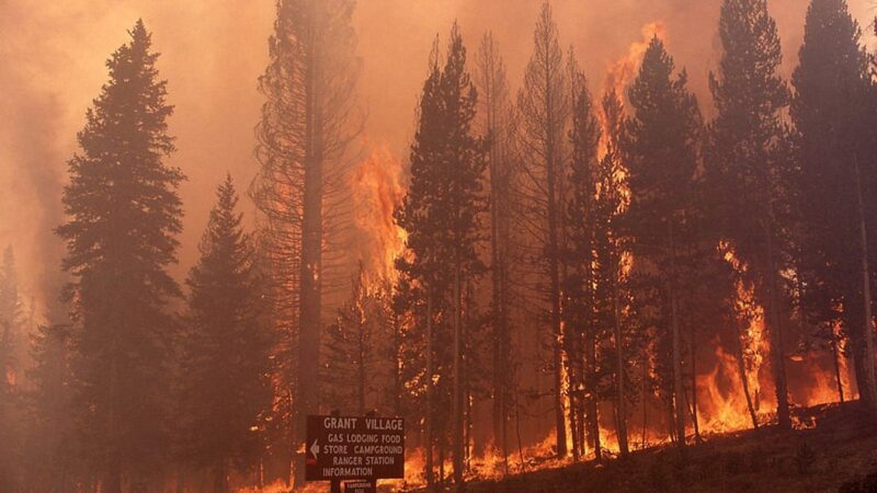 Devastating News!!!: Yellowstone National Park engulfed by uncontrollable fire inferno: Many lives Lost and properties worth millions destroyed!!! Tribute to U.S Government…see more…