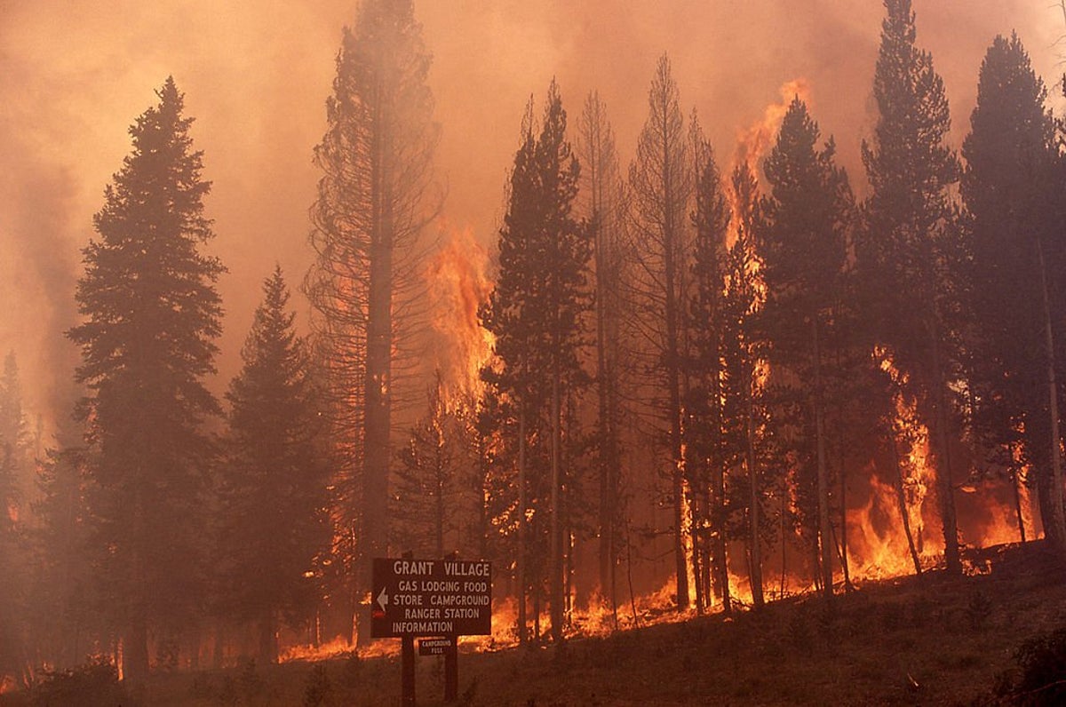 Devastating News!!!: Yellowstone National Park engulfed by uncontrollable fire inferno: Many lives Lost and properties worth millions destroyed!!! Tribute to U.S Government…see more…