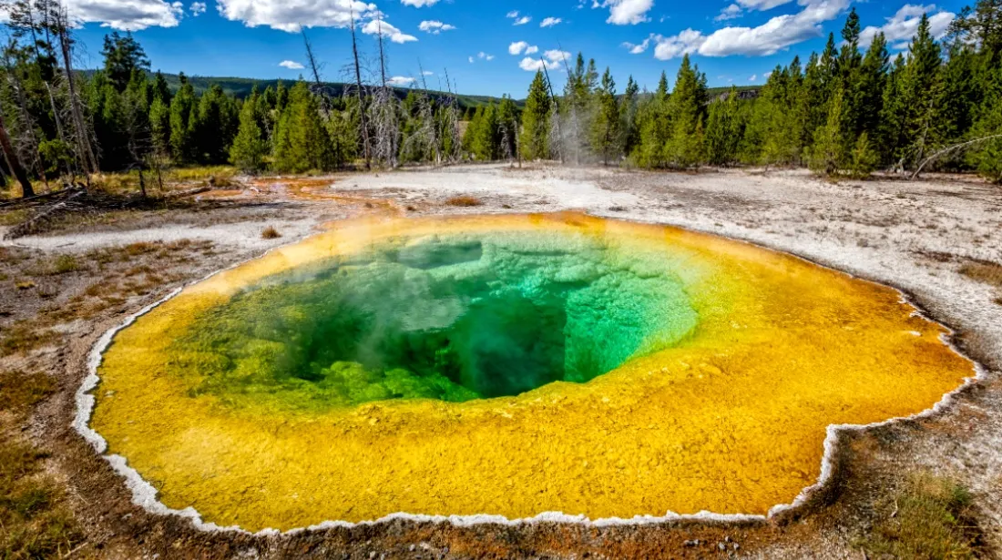 Sad news:Yellowstone National Park Incident Results in Tragic Deaths of Five FBI Officer….