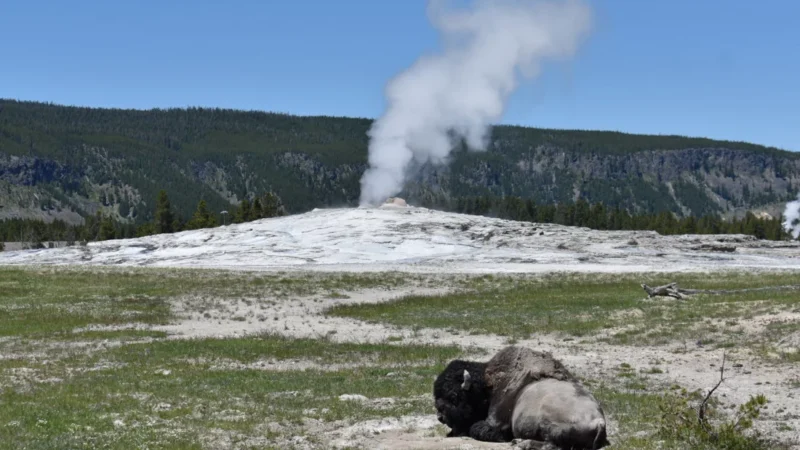 PRAYERS NEEDED : Woman Suffers Leg Burns After Straying from Yellowstone TRAIL.