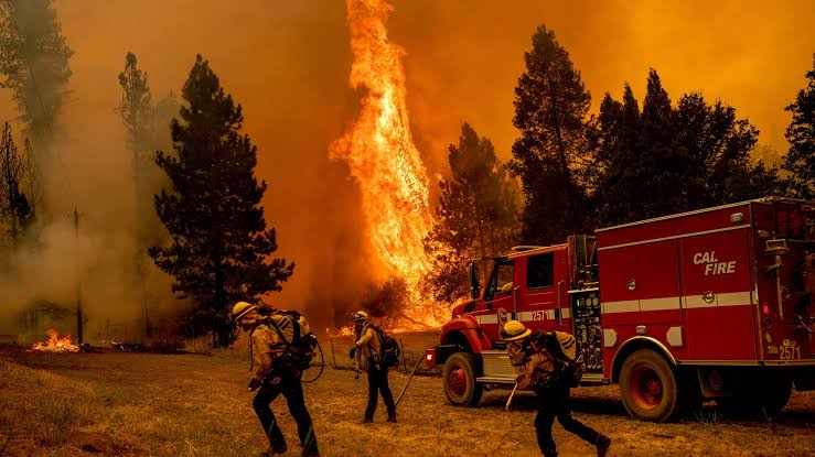 Startling: In Yellowstone National Park, a destructive wildfire breaks out, requiring hundreds of people to… more information ✇️⬇️