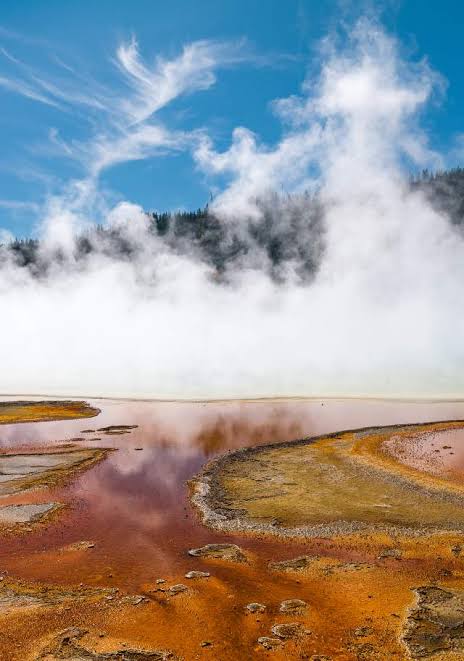 BREAKING NEWS: Yellowstone Tourists Accused of Ruining Morning Glory’s Crystal Blue Color with…..