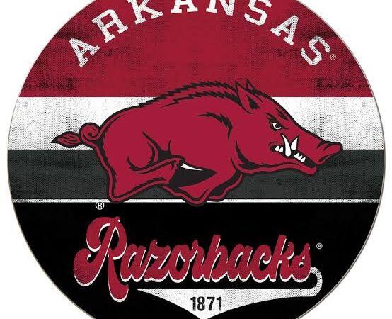 NEWS NOW: Razorback Nation’s match against UAB Blazers cancelled due to outbreak of deadly pandemic…See More…