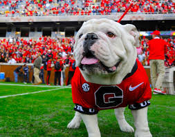 🚨BREAKING NEWS🚨  Georgia Bulldogs Mascot to Be Replaced by Commodores Following Recent Losses to Alabama.