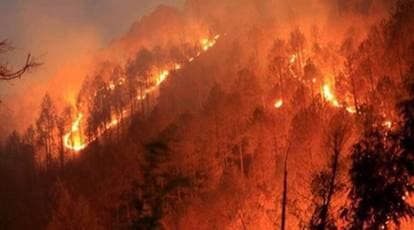 DEVASTATING: Fire Destroys Historic Smoky Mountains Lodge, Leaving Community Reeling