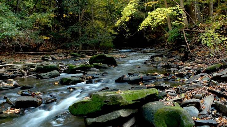 The Cuyahoga Valley National Park river has just been found to contain fresh gold by scientists.