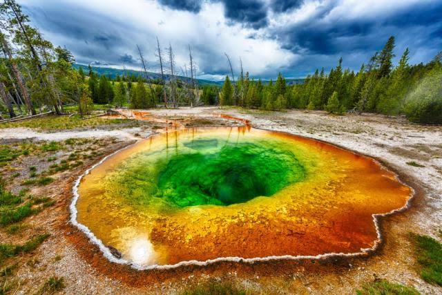 Breaking News: Yellowstone National Park thrown into excitement as they unveil new Site and Garden…see more…