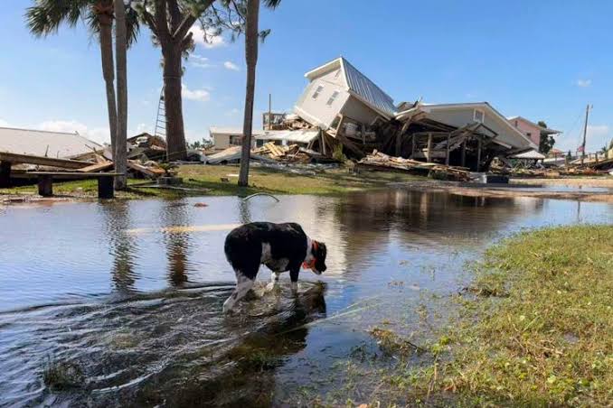 ESPN EXCLUSIVE: heart break US  one of the best mansion  in South Carolina destroyed by a heavy snake 1 minutes ago… more details 👇⬇️