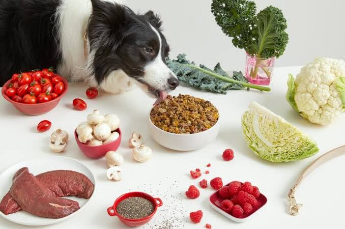 Healthy Dishes for your dog,listed by Appalachian foods and recipes… see more