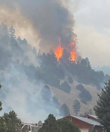 Davastating:Fire has just burned down the largest city on Green Mountain.