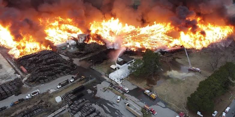 Breaking news :Devastating Fire at Asheville NC, The North Carolina Arboretum Claims 70 Live