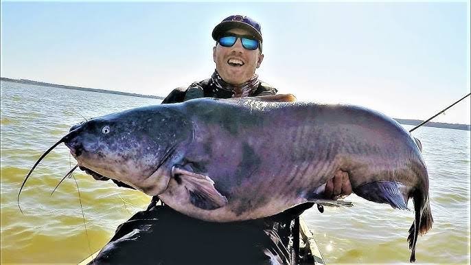 El Paso Fishing: Alonso Ordaz Catches Massive 55-Pound Blue Catfish…see more 