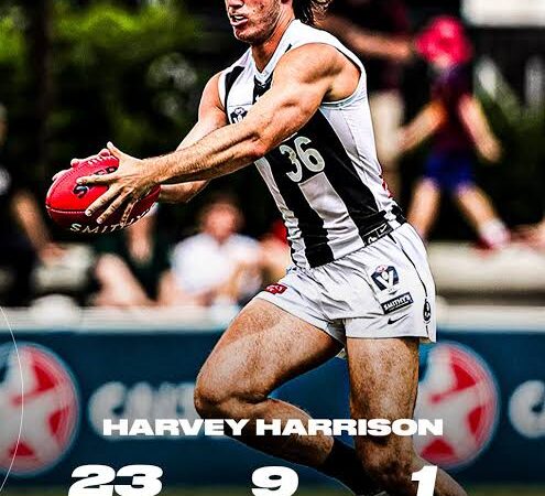 Breaking  News: Collingwood 20 year old infielder Harvey Harrison sustained an injury during the first quarter of Collingwood’s Round….see more 