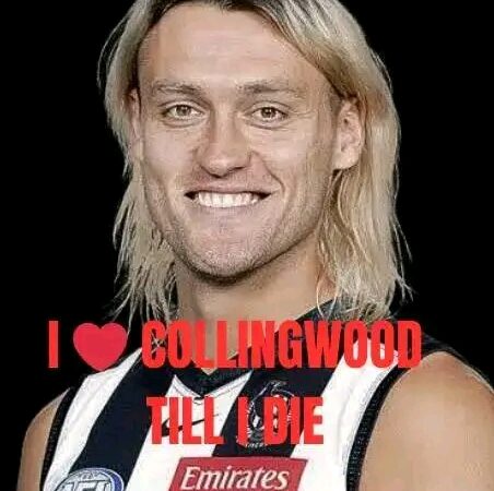 LOYALTY OVER LEGACY:Darcy Moore Rejects $45M Bulldogs Offer Collingwood is My Home!’ AFL Fans, This One’s For You…………