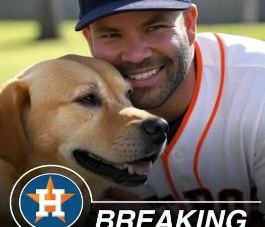 Jose Altuve took social media by storm with a shocking announcement: he’s investing $20 million to build a “paradise” dedicated to rescuing stray dogs, promising love and homes to thousands of abandoned puppies…. 
