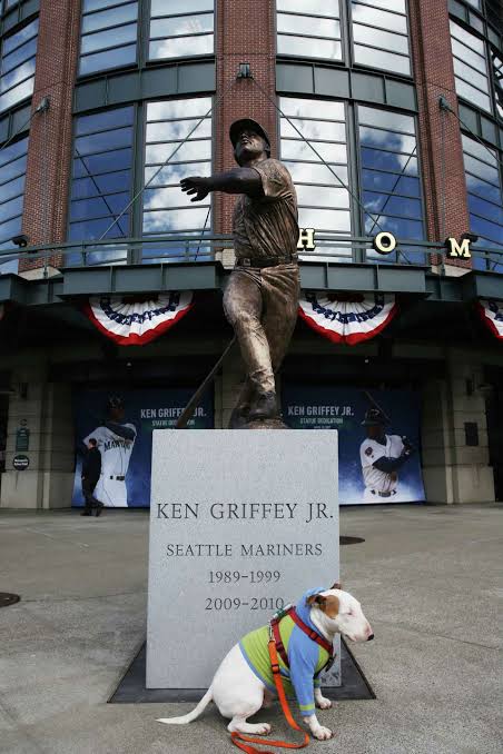 BREAKING NEWS: The Seattle Mariners Unveil Statue outside Safeco field Honoring Sensation Ken Griffey Jr. — A Monument to Grit, Greatness, and Giving Back